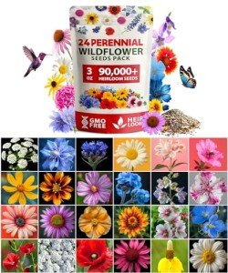 90,000+ Non-GMO Wildflower Seeds for Pollinators