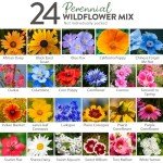 90,000+ Non-GMO Wildflower Seeds for Pollinators