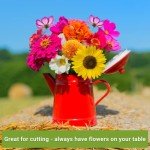 Flower Seed Variety Pack for Your Garden