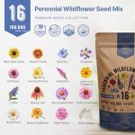 Perennial Wildflower Seeds Mix for Indoor & Outdoor