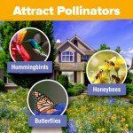 90,000+ Non-GMO Wildflower Seeds for Pollinators