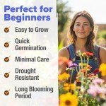 Wildflower Seed Mix for Birds & Butterflies