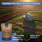Perennial Wildflower Seeds Mix for Indoor & Outdoor