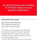 Fast Blooming Wildflower Seed Mix - 25,000 Seeds