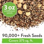 90,000+ Non-GMO Wildflower Seeds for Pollinators