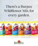 Fast Blooming Wildflower Seed Mix - 25,000 Seeds