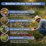 Perennial Wildflower Seeds Mix for Indoor & Outdoor