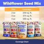 Wildflower Seed Mix for Birds & Butterflies