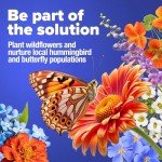 Wildflower Seed Mix for Birds & Butterflies