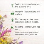 90,000+ Non-GMO Wildflower Seeds for Pollinators