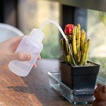 Mini Succulent Tool Set - 13 Pieces