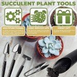 21-Piece Indoor Plant Tool Set for Succulents