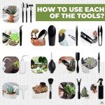 21-Piece Indoor Plant Tool Set for Succulents