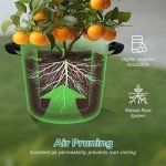 WTREE 5-Pack Heavy Duty Grow Bags for Plants