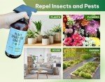 Kate's Garden Insect & Gnat Spray for Plants