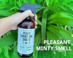 Kate's Garden Insect & Gnat Spray for Plants