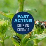 BioAdvanced Ready-to-Use Vegetable Pest Control, 24 oz