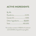 Garden Safe Houseplant & Garden Insect Killer, 32 oz