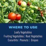 BioAdvanced Ready-to-Use Vegetable Pest Control, 24 oz