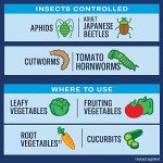 BioAdvanced Ready-to-Use Vegetable Pest Control, 24 oz