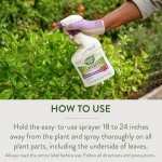 Garden Safe Multi-Purpose Insect Killer - 32 oz