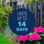 BioAdvanced 3-in-1 Insect Control Spray, 32 oz