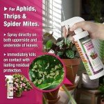 EcoVenger Garden Insect Control - Non-Toxic Spray