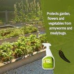 NatroZing Non-Toxic Insect Killer for Plants