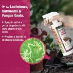 EcoVenger Garden Insect Control - Non-Toxic Spray