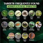 Catchmaster XL Sticky Fly Tape - 4 Pack