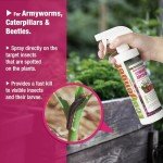 EcoVenger Garden Insect Control - Non-Toxic Spray