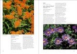 Perennial Garden Guide: Planting & Pruning Techniques