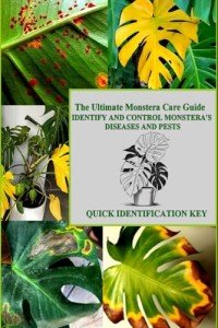 Monstera Care Guide: Identify & Control Pests