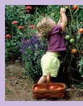 Grow Your Own Healthy Vegetables and Herbs