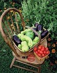 Grow Your Own Healthy Vegetables and Herbs