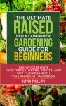 Beginner's Guide to Raised Bed Gardening Success