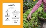 Beginner's Guide to Raised Bed Gardening Volume 3
