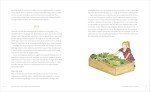 Beginner's Guide to Raised-Bed Gardening Success