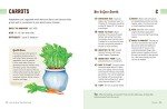 Container Gardening: A Beginner's Guide to Growing Food