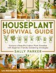 Houseplant Survival Guide: Easy Tips for Healthy Plants