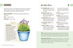 Container Gardening: A Beginner's Guide to Growing Food