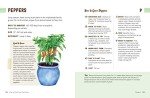 Container Gardening: A Beginner's Guide to Growing Food