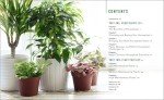 Beginner's Guide to Thriving Houseplants
