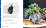 Beginner's Guide to Thriving Houseplants