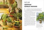 Indoor Gardening Guide: Grow Fresh Food Year-Round