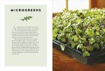 Indoor Gardening Guide: Grow Fresh Food Year-Round