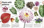 Plant Kingdom Visual Encyclopedia: Trees, Leaves, Flowers