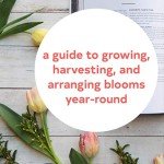Floret Farm's Guide to Growing Stunning Blooms