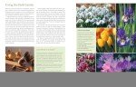 The Flower Gardener's Bible: Your Ultimate Bloom Guide