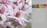 Plant and Flower Encyclopedia for Active Lifestyles
